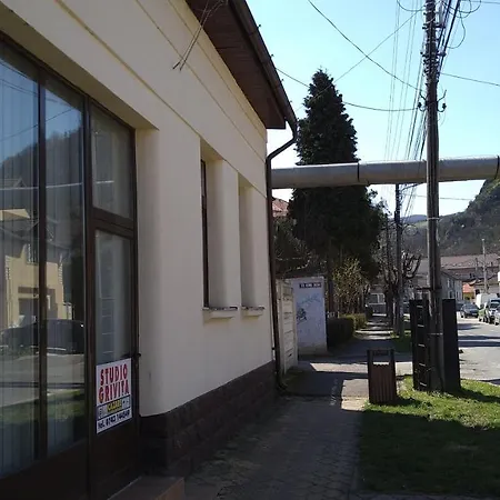 Studio Grivita Deva Exterior photo